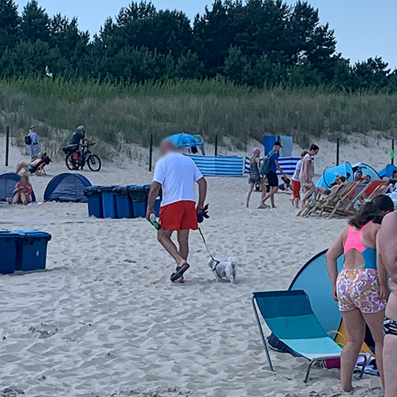 Psy na plaży w Świnoujściu: Konflikt interesów między mieszkańcami, turystami a właścicielami czworonogów