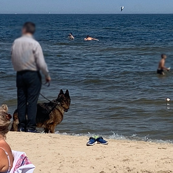 Psy na plaży w Świnoujściu: Konflikt interesów między mieszkańcami, turystami a właścicielami czworonogów