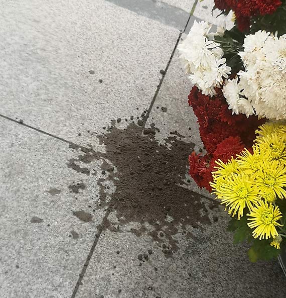 Znikające kwiaty na Wojska Polskiego – kto je zabrał? Świnoujście w kwiatowej aferze!