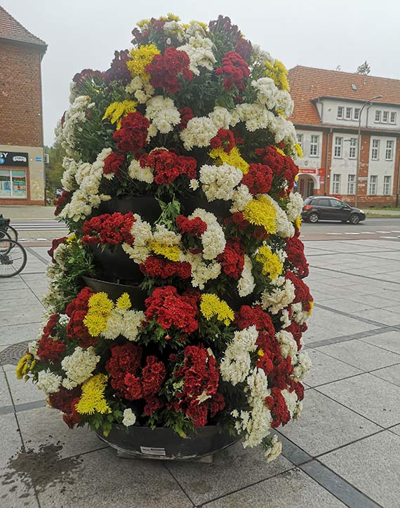 Znikające kwiaty na Wojska Polskiego – kto je zabrał? Świnoujście w kwiatowej aferze!