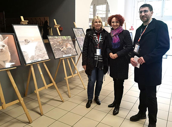 Grupa Morska - Cała Naprzód: Świnoujska Wystawa Pupili 2024 za nami!