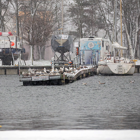Zdezelowana Marina w Świnoujściu: port jachtowy w opłakanym stanie