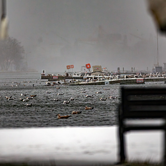 Zdezelowana Marina w Świnoujściu: port jachtowy w opłakanym stanie
