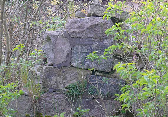 Śladami zapomnianych miejsc