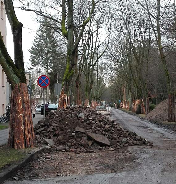 Przebudowa ulicy Henryka Sienkiewicza – trwają intensywne prace rozbiórkowe