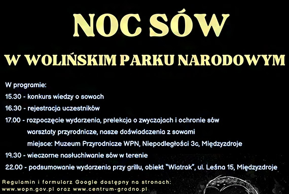 Zapraszamy na Noc Sów 2025 w Wolińskim Parku Narodowym. To już niedługo!