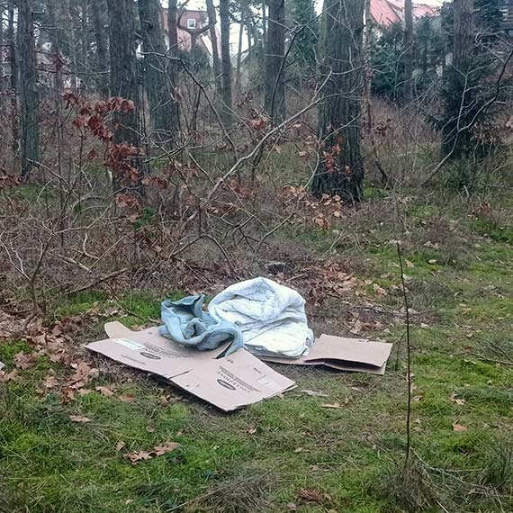 Śmieci w lesie przy ul. Gdyńskiej i Śląskiej – kto za to odpowiada?