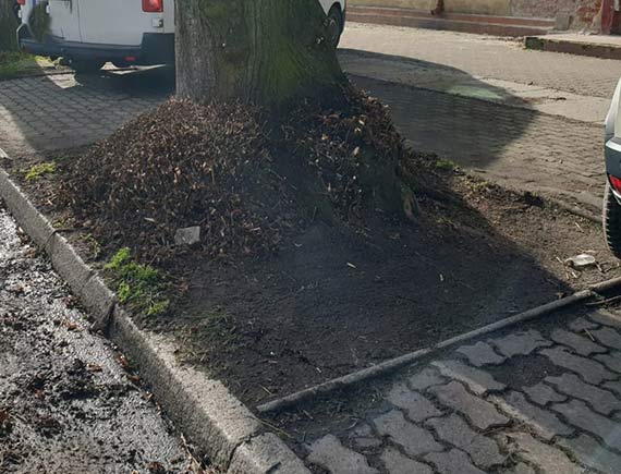 Przedwiosenne porzdki w winoujciu