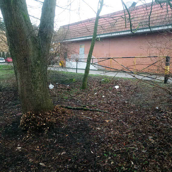 Śmieci i bałagan przy ulicy Szkolnej – mieszkańcy pytają, kto odpowiada za porządek?
