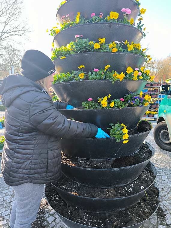 Pielęgnacja Parku Zdrojowego