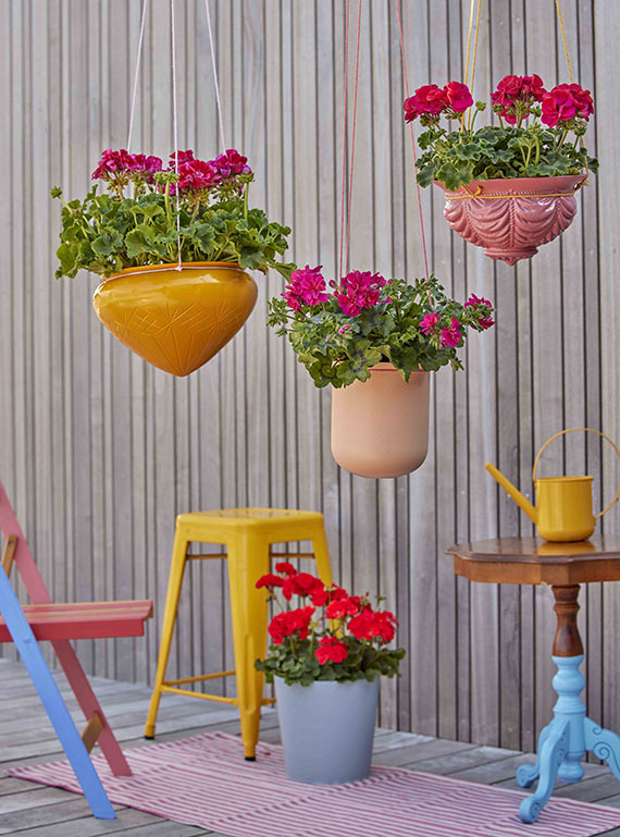 Byliny wznosz si na wyyny Stylowe pomysy na wiszce pelargonie