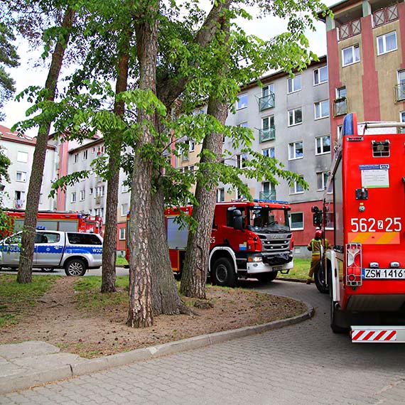Alarm na Krzywej bez potwierdzenia zagroenia. Straacy uyli miernikw