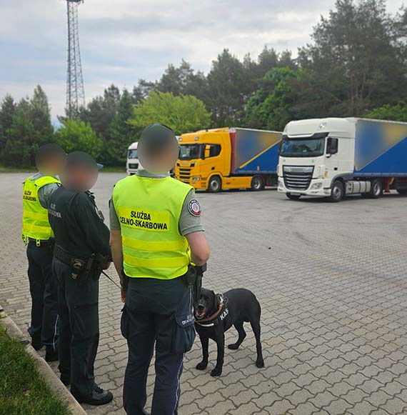 Mocne uderzenie w narkotykowy biznes. KAS i Policja zabezpieczyły ponad 100 kg kokainy ukrytej w naczepie ciężarówki