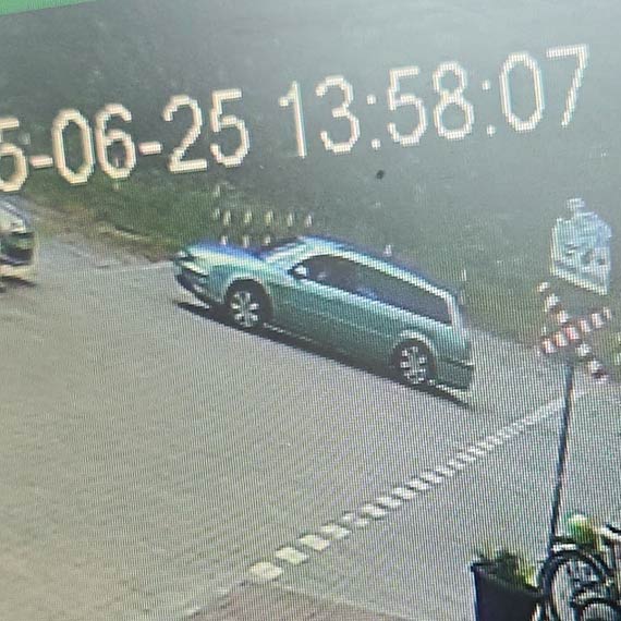 Zuchwaa kradzie w Midzyzdrojach. Donice z kwiatami znikny sprzed Batyckiego Parku Miniatur