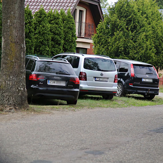 Szał na Lawendowy Dzień! Kodrąbek 5 znów przyciąga tłumy