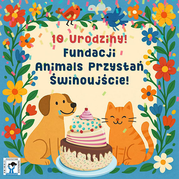 Piknik z okazji 10-lecia Fundacji Animals Przysta winoujcie