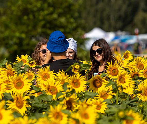 Pomorze Zachodnie ttni kolorami na 31. Pol'and'Rock Festival!