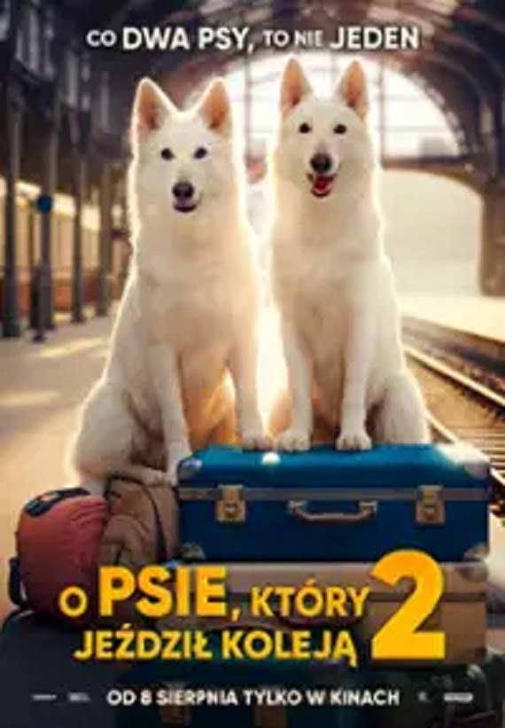 Midzyzdroje: Letni repertuar kinowy: Co warto obejrze w sierpniu?