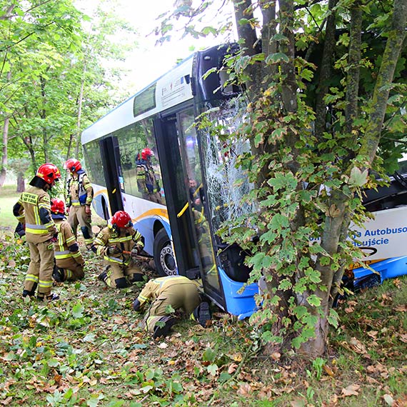 Autobus uderzy w drzewa na ulicy Karsiborskiej