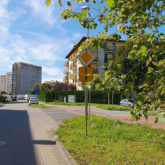 Świnoujście: Drzewa zasłaniają znaki drogowe na skrzyżowaniu Malczewskiego i Chełmońskiego