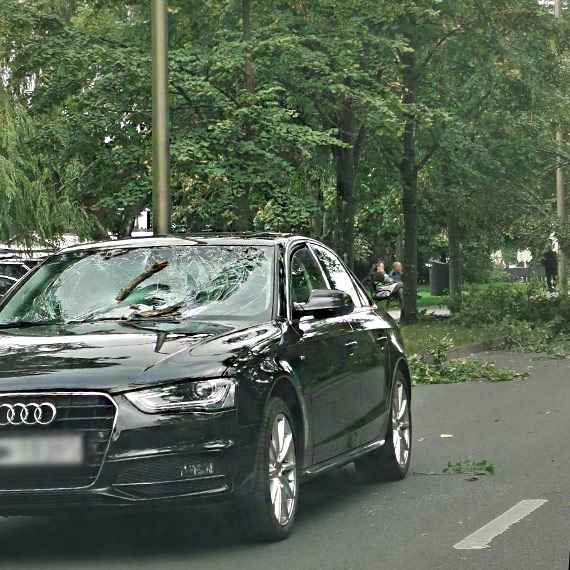 Silny wiatr powali drzewa w winoujciu. Uszkodzone auta i zagroenie na drogach