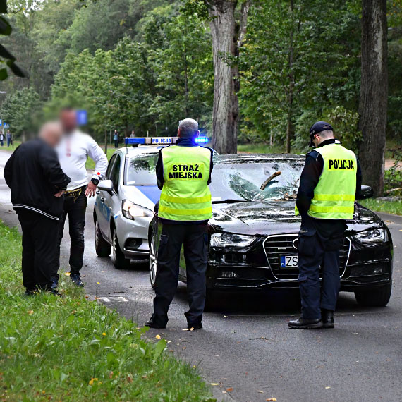 Silny wiatr powali drzewa w winoujciu. Uszkodzone auta i zagroenie na drogach