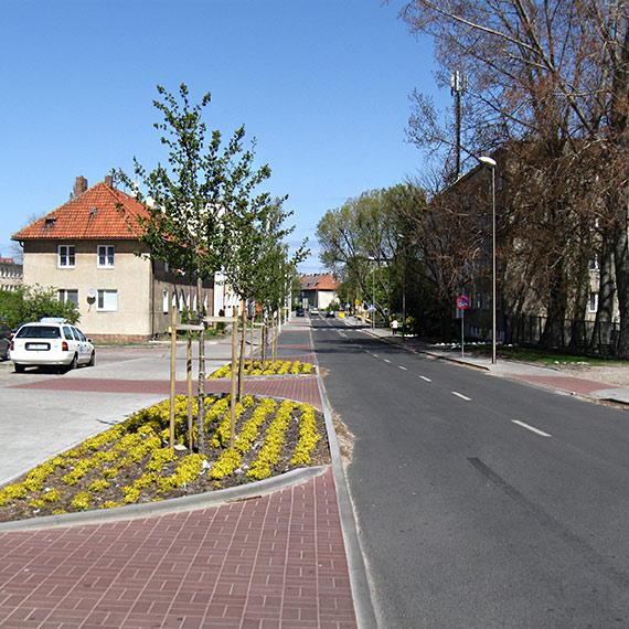Kto ma dbać o osiedlową zieleń?