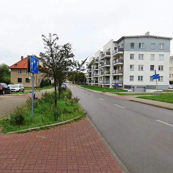 Kto ma dbać o osiedlową zieleń?