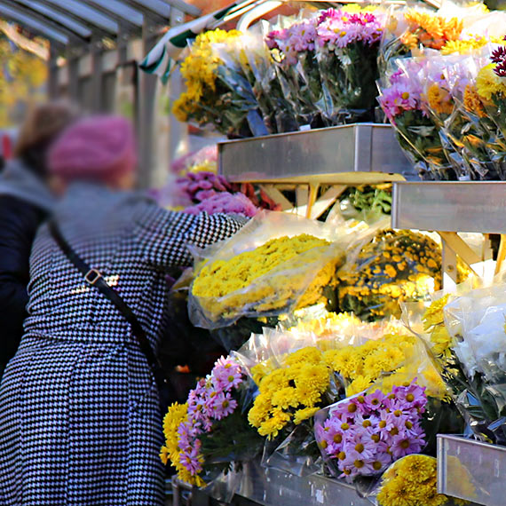 Kwietny symbol pamięci drenuje portfele