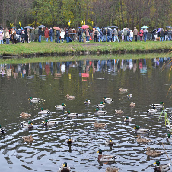 Piknik Niepodległościowy nad Basenem Północnym. Konie, fortepian i dziecięce śpiewy
