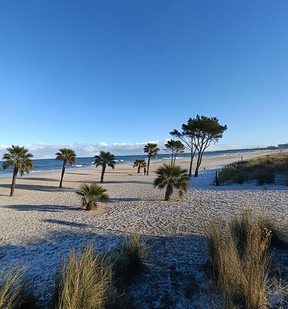 „Czy nie byłoby fajnie?” Mieszkaniec proponuje tropikalną wersję plaży