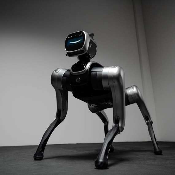 To już się dzieje. Roboty humanoidalne i roboty‑psy trafiają do sprzedaży w Polsce