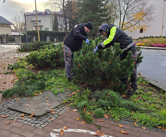 Zielona Brygada pracuje przez ca�y rok