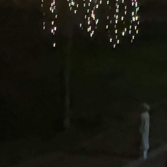 Nocne, nietypowe zachowanie kobiety przy ul. Konstytucji 3 Maja. Świadek: „Obejmowała i całowała drzewo przez kilka minut”