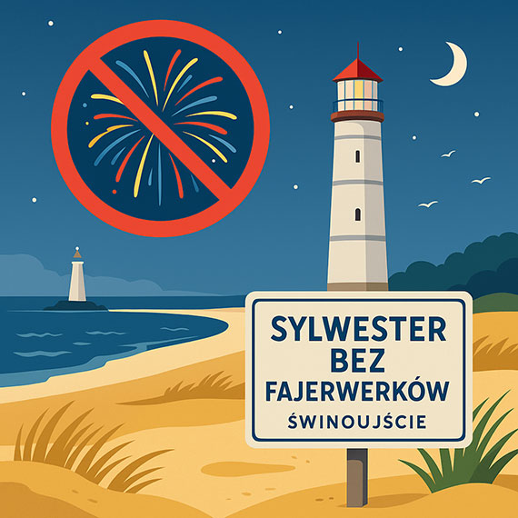 Podsumowanie konsultacji społecznych dotyczących używania fajerwerków podczas miejskich wydarzeń