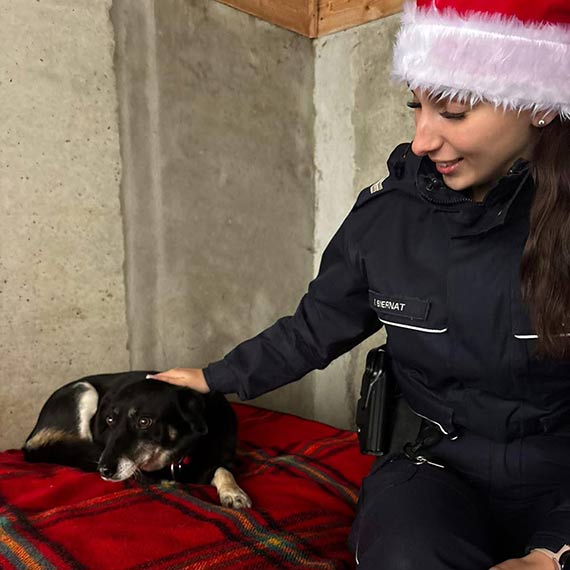 Świąteczna pomoc prosto z serca