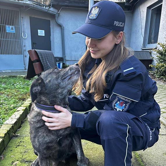 Świąteczna pomoc prosto z serca