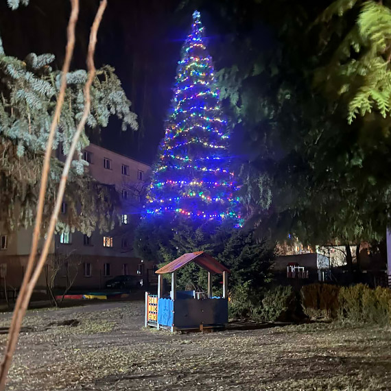 Największa choinka w mieście? Ukryta między blokami przy Monte Cassino