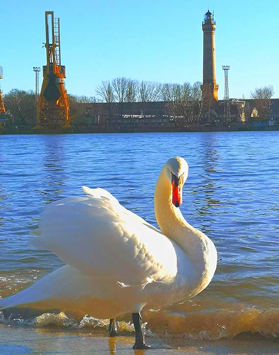 Niedziela jak z poczt�wki. Zimowa pla�a w �winouj�ciu pe�na spacerowicz�w