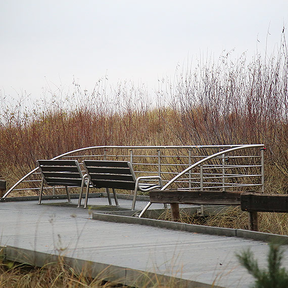 Zaro�ni�ta k�adka, niewidoczne morze. Bierno�� trwa latami