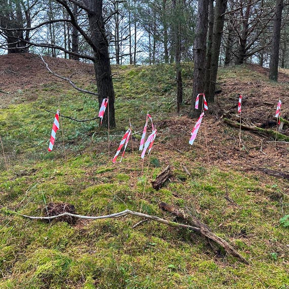 Realne działania na rzecz ochrony środowiska [1]
