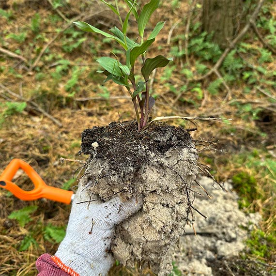 Realne działania na rzecz ochrony środowiska [3]