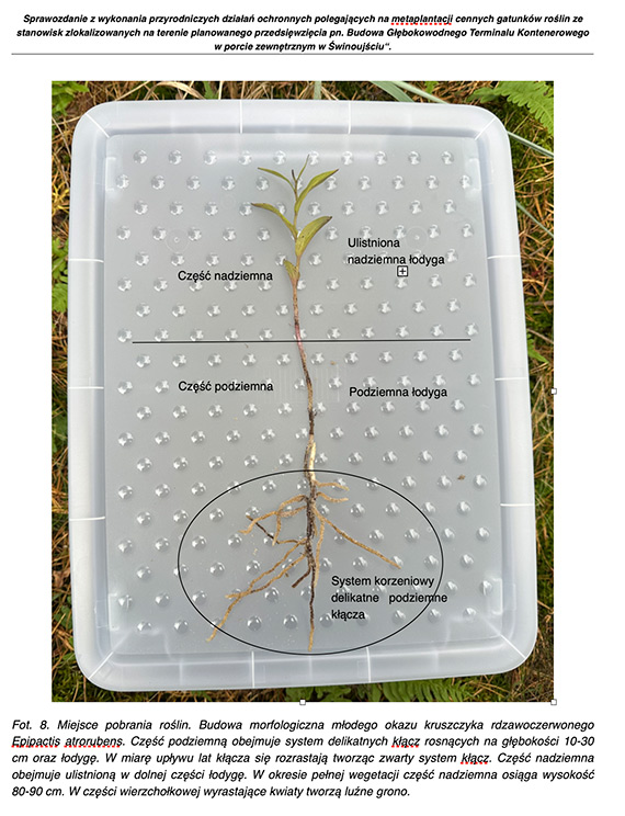 Realne działania na rzecz ochrony środowiska [4]