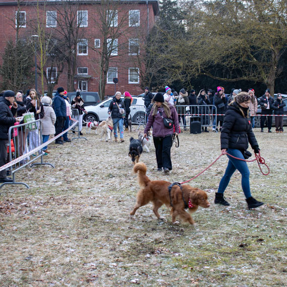 Mieszkańcy oczarowani skalą wydarzeń! Tak pulsuje świnoujskie serce WOŚP w finałową niedzielę [5]