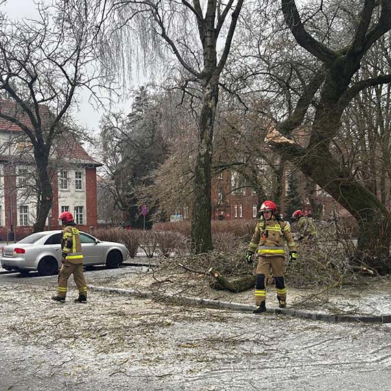 Śliskie chodniki, sople - dbajmy o bezpieczeństwo w swojej okolicy