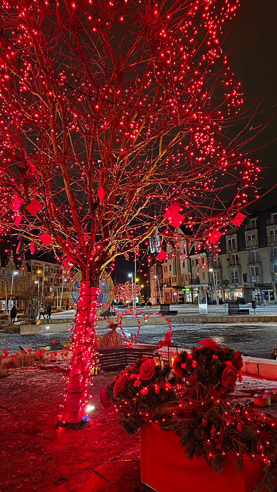 Walentynki na wystawie?! Najważniejsze są te w sercu! [1]