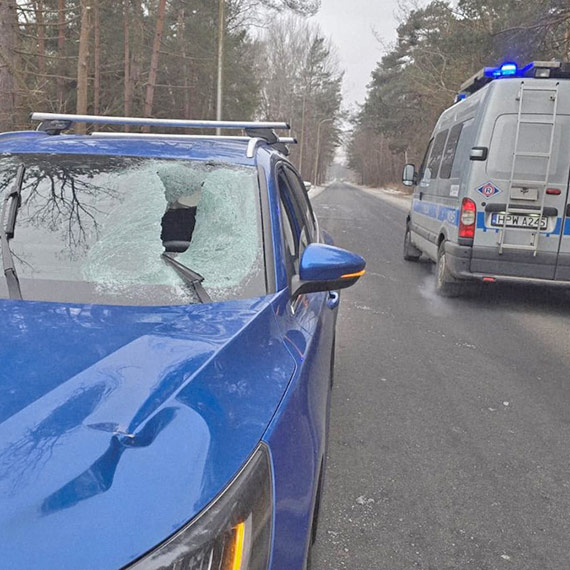 Tafla lodu spadła na przednią szybę samochodu - kierujący ukarany wysokim mandatem [1]