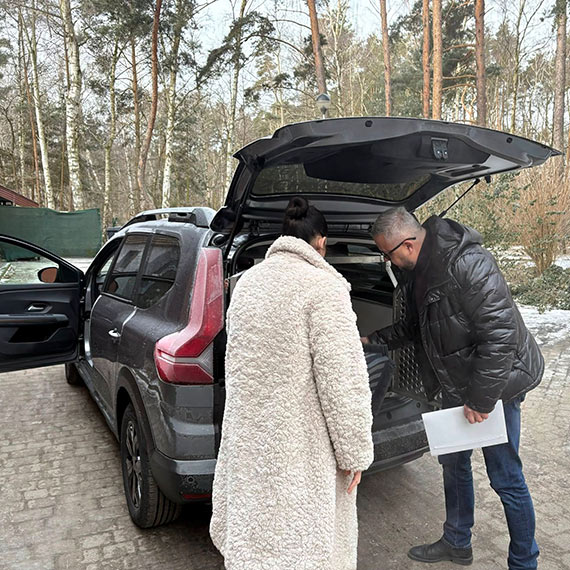 Specjalistyczny transport dla poszkodowanych zwierząt