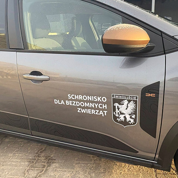 Specjalistyczny transport dla poszkodowanych zwierz�t