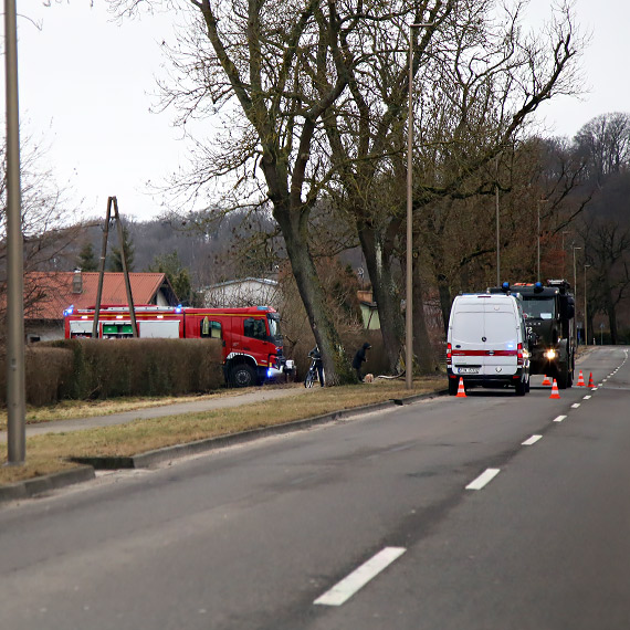 Pożar domku letniskowego przy ulicy Krzywej. 12 strażaków w akcji
